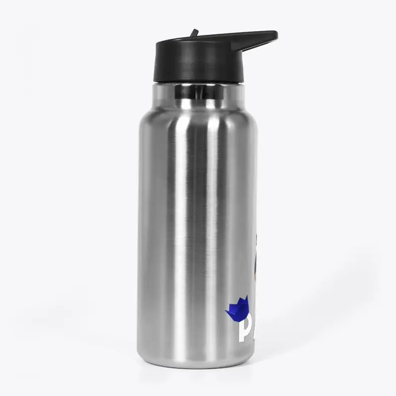 PartyHatRB stainless steel drink bottle